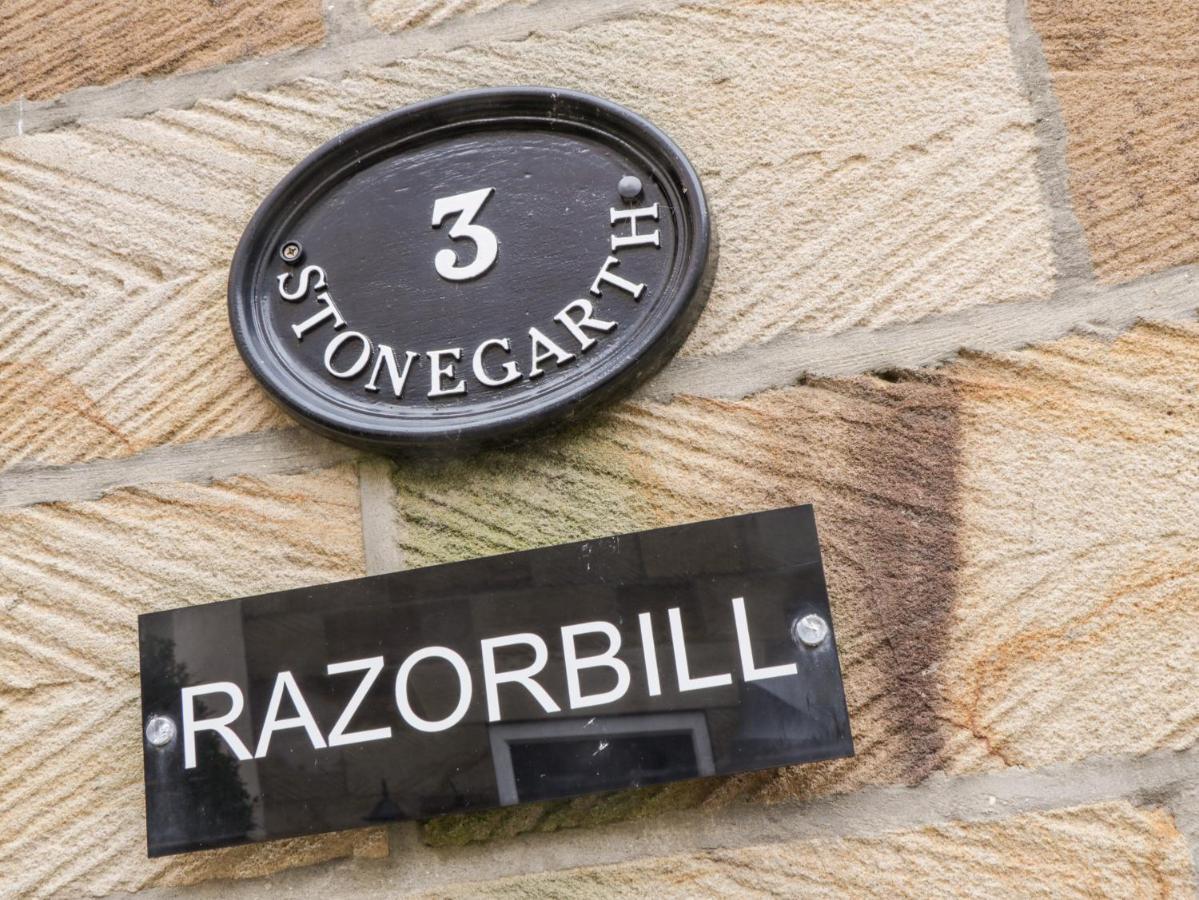 Razorbill Holiday home Whitby